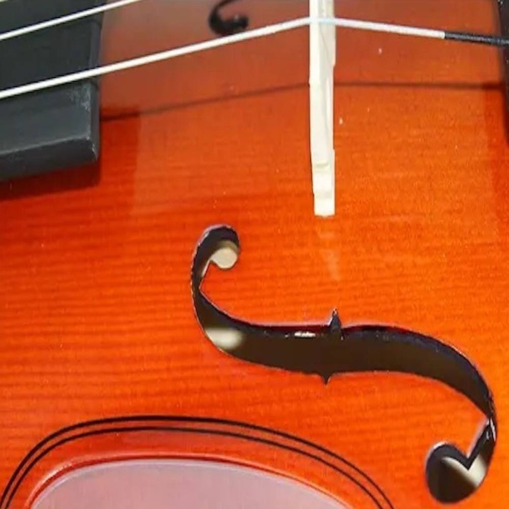 Buy Starter Violin australia