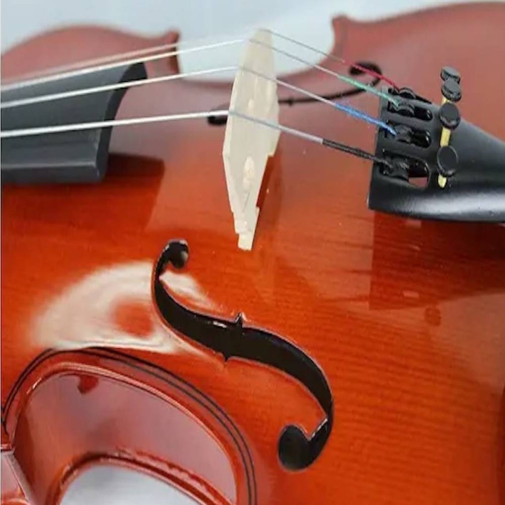 Buy Student Starter Violin australia
