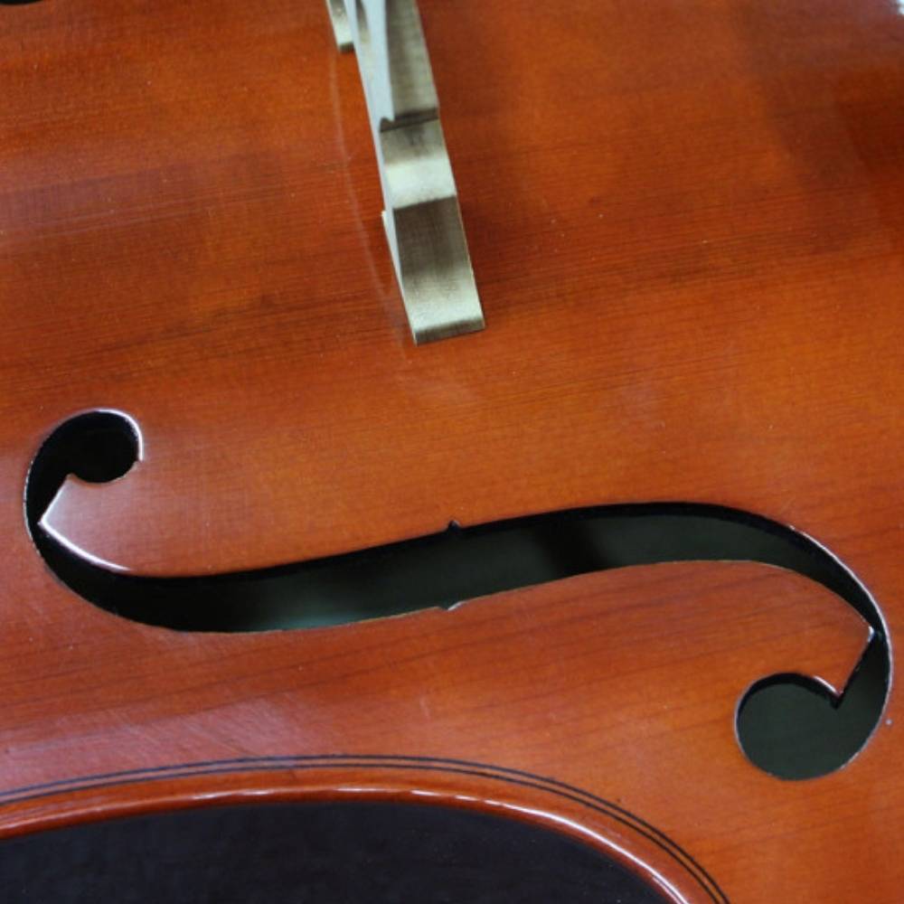 buy cello for learner australia