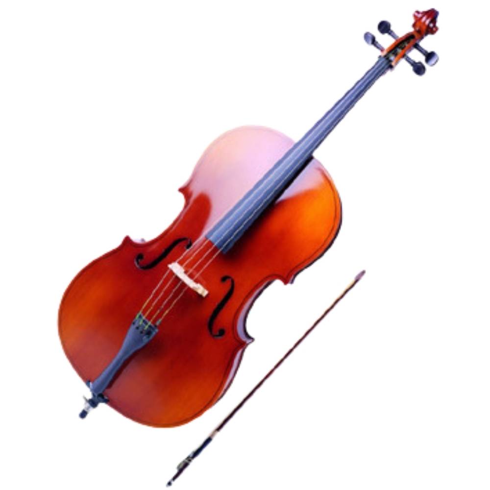 buy cello for student australia