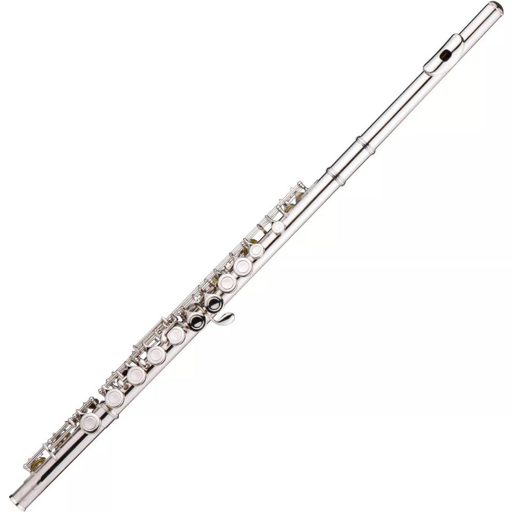 buy best flute for children